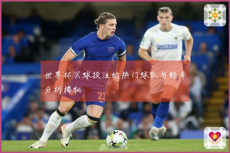 世界杯买球投注的热门球队与赔率分析揭秘