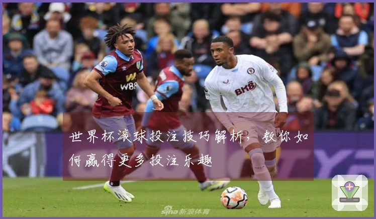 世界杯滚球投注技巧解析，教你如何赢得更多投注乐趣