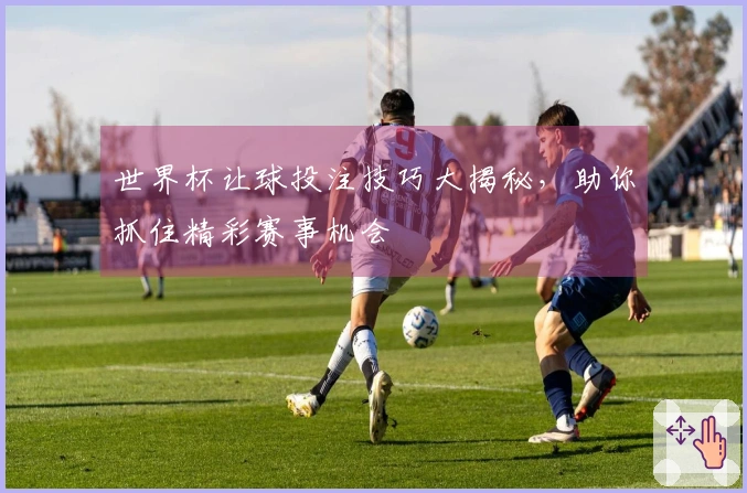 世界杯让球投注技巧大揭秘，助你抓住精彩赛事机会
