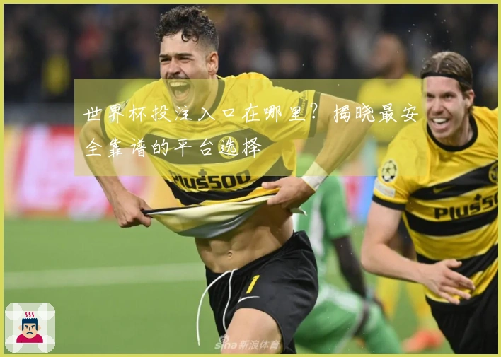 世界杯投注入口在哪里？揭晓最安全靠谱的平台选择